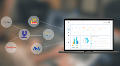 Brand Monitoring Services