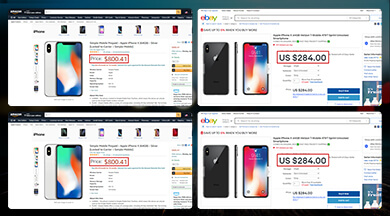 Success Story - Protect and Grow Brand Value