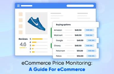 Ecommerce Price Monitoring: Guide for eCommerce Pricing Intelligence