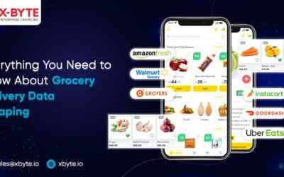 Everything You Need To Know About Grocery Delivery Data Scraping
