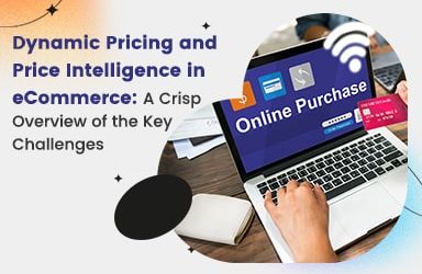 Overcoming Obstacles: Key Challenges of Price Intelligence and Dynamic Pricing in eCommerce