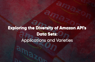 Amazon API Data Sets: Applications and Varieties