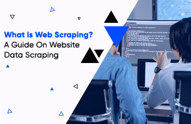 What is Web Scraping? – A Guide On Website Data Scraping