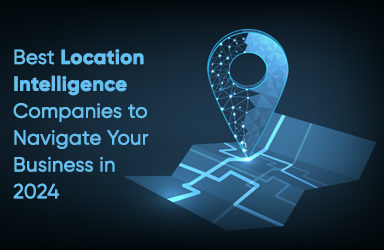 Location Intelligence Companies to Navigate Your Business in 2024