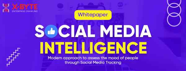 Social Media Intelligence Whitepaper
