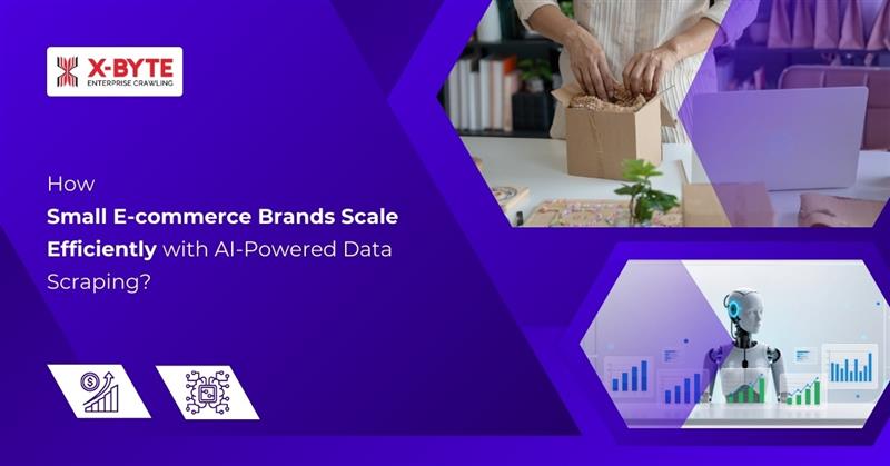 how-small-ecommerce-brands-scale-ai-data-scraping